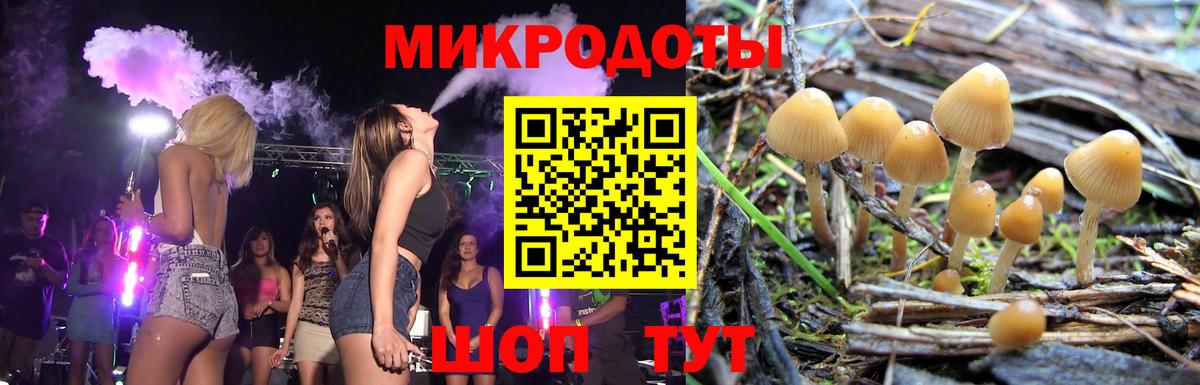 Псилоцибиновые грибы ЛСД  Вход с VPN  Норильск 