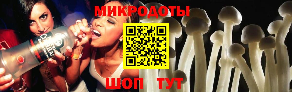 Галлюциногенные грибы мицелий Норильск