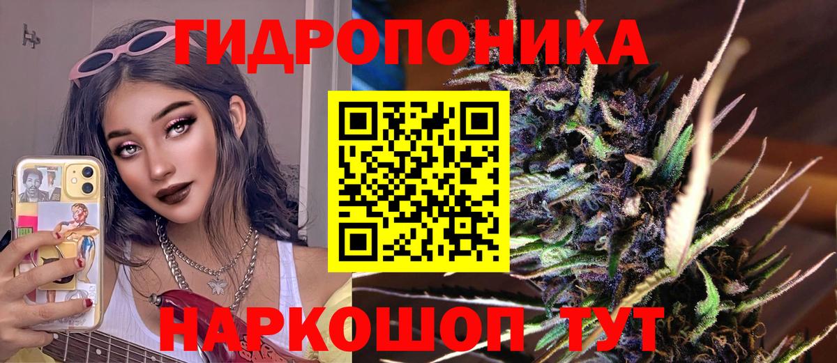 Бошки Шишки марихуана  Марихуана индика  Вход с VPN  Норильск  Канабис White Widow 